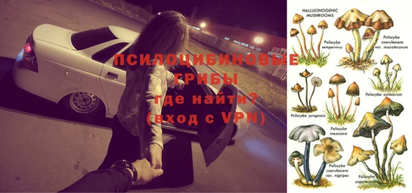 бошки Михайлов